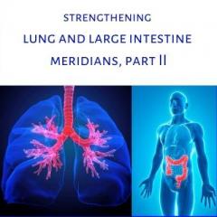 Light Body Wisdom: Strengthening Lung and Large Intestine ...