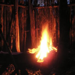 Flames in the woods