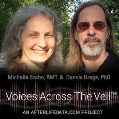 Psychic Professor s Show with Dr. Susan Barnes The Voices of