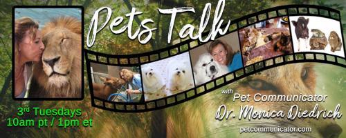 The Pet Communicator Show with Dr. Monica Diedrich: When animals are sick. . .